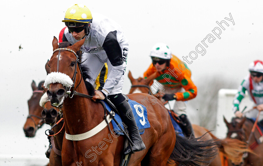 Miss-Honey-Ryder-0001 
 MISS HONEY RYDER (A P Heskin)
Wincanton 30 Jan 2020 - Pic Steven Cargill / Racingfotos.com