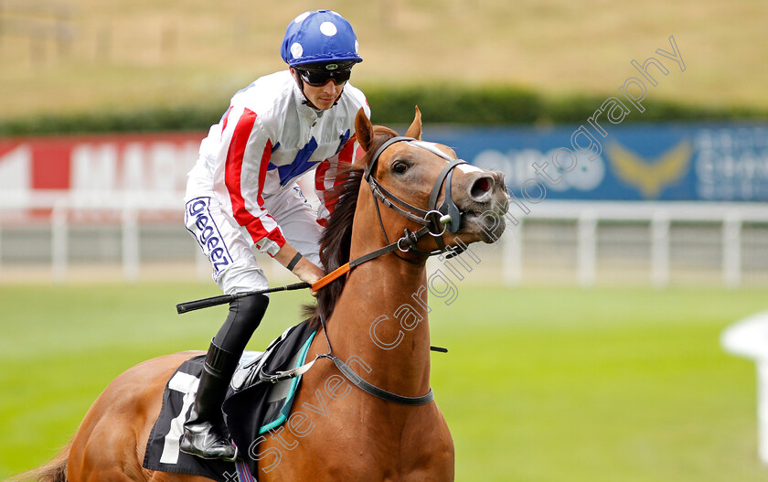 Jiffy-Boy 
 JIFFY BOY (David Probert)
Goodwood 26 Jul 2022 - Pic Steven Cargill / Racingfotos.com