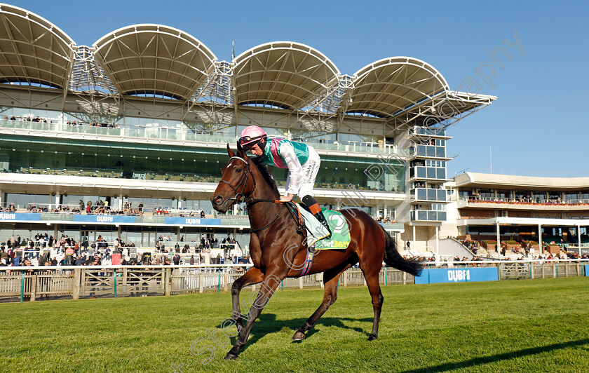 Tabiti-0002 
 TABITI (Rossa Ryan)
Newmarket 11 Oct 2024 - Pic Steven Cargill / Racingfotos.com