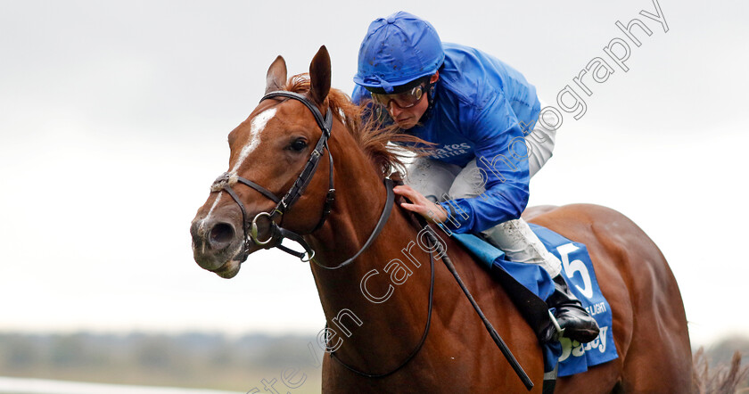 Shadow-Of-Light-0001 
 SHADOW OF LIGHT (William Buick) wins The Darley Dewhurst Stakes
Newmarket 12 Oct 2024 - Pic Steven Cargill / Racingfotos.com