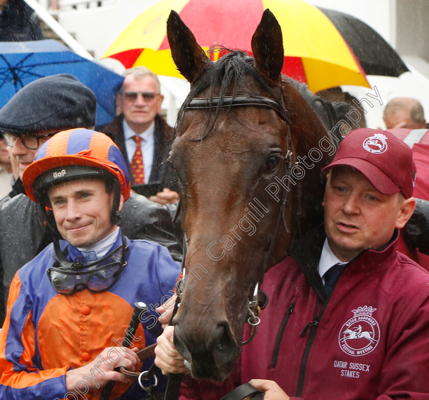 Paddington-0012 
 PADDINGTON (Ryan Moore) winner of The Qatar Sussex Stakes
Goodwood 2 Aug 2023 - Pic Steven Cargill / Racingfotos.com