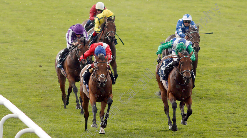 Veracious-0007 
 VERACIOUS (left, Oisin Murphy) beats ONE MASTER (right) in The Tattersalls Falmouth Stakes
Newmarket 12 Jul 2019 - Pic Steven Cargill / Racingfotos.com