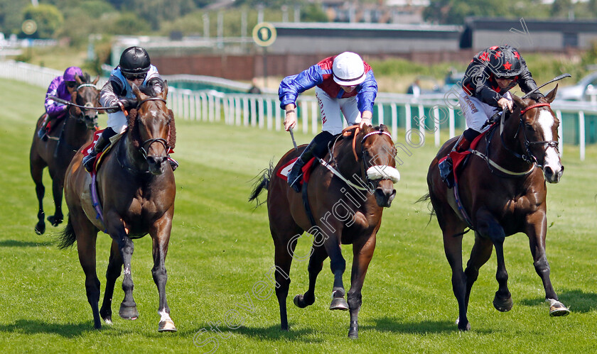 Dream-Composer-0001 
 DREAM COMPOSER (right, Dougie Costello) beats KORKER (centre) and ARECIBO (left) in The Cavani Menswear Sartorial Sprint Handicap
Sandown 7 Jul 2023 - Pic Steven Cargill / Racingfotos.com