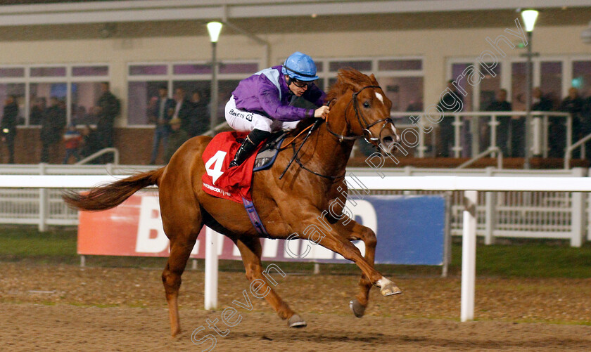 Great-Ambassador-0006 
 GREAT AMBASSADOR (Richard Kingscote) wins The Matchbook EBF Future Stayers Novice Stakes
Chelmsford 28 Nov 2019 - Pic Steven Cargill / Racingfotos.com