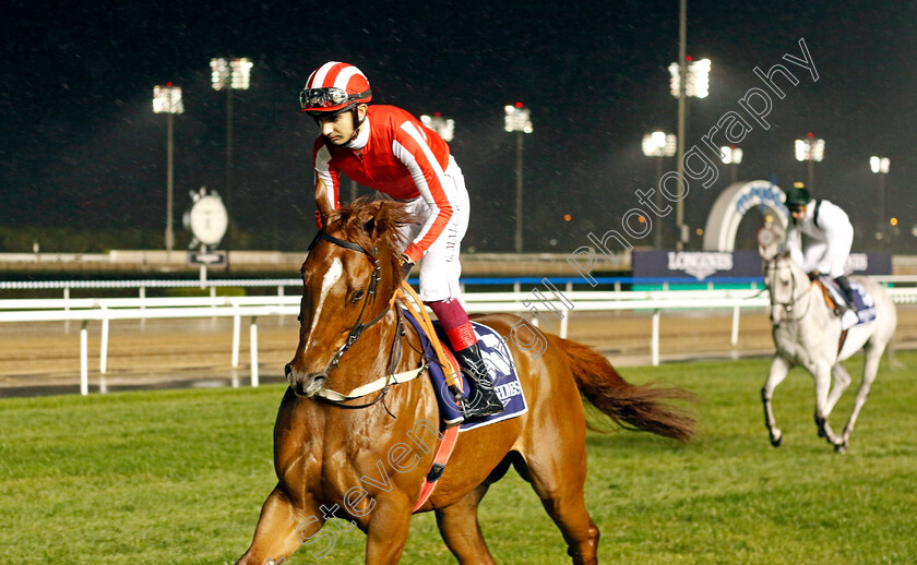 Bouttemont-0001 
 BOUTTEMONT (Richard Mullen)
Meydan 27 Jan 2023 - Pic Steven Cargill / Racingfotos.com