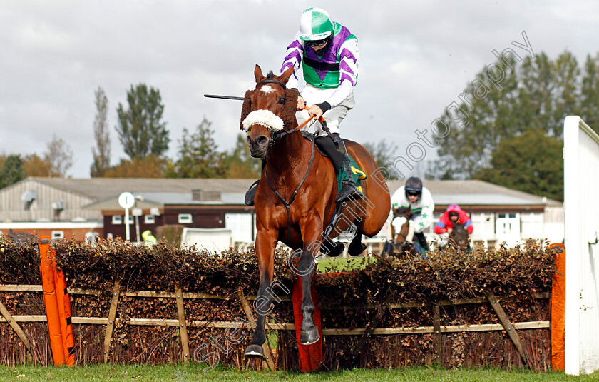 The-Twisler-0003 
 THE TWISLER (Harry Reed) wins The Watch Fakenham Replays On attheraces.com Conditional Jockeys Selling Handicap Hurdle
Fakenham 16 Oct 2020 - Pic Steven Cargill / Racingfotos.com