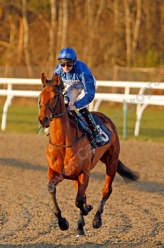 Finespun-0001 
 FINESPUN (Robert Havlin)
Lingfield 4 Jan 2020 - Pic Steven Cargill / Racingfotos.com