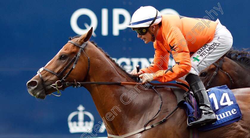 Only-Spoofing-0004 
 ONLY SPOOFING (Kieran O'Neill) wins The Neptune Investment Management Supports Child Bereavement UK Handicap
Ascot 26 Jul 2019 - Pic Steven Cargill / Racingfotos.com