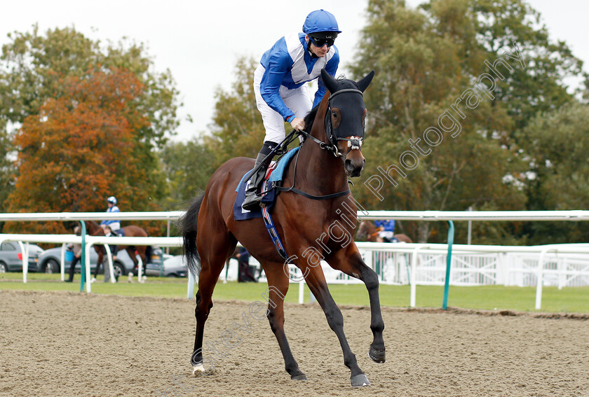 Gaudi-0001 
 GAUDI (Robert Havlin) before winning The 188bet Extra Place Races Maiden Stakes Div2
Lingfield 4 Oct 2018 - Pic Steven Cargill / Racingfotos.com