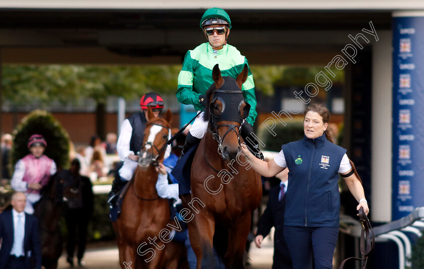 The-Euphrates-0001 
 THE EUPHRATES (Christophe Soumillon)
Ascot 19 Oct 2024 - Pic Steven Cargill / Racingfotos.com