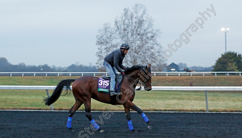 Mishriff-0002 
 MISHRIFF training for the Breeders' Cup Turf
Keeneland USA 2 Nov 2022 - Pic Steven Cargill / Racingfotos.com