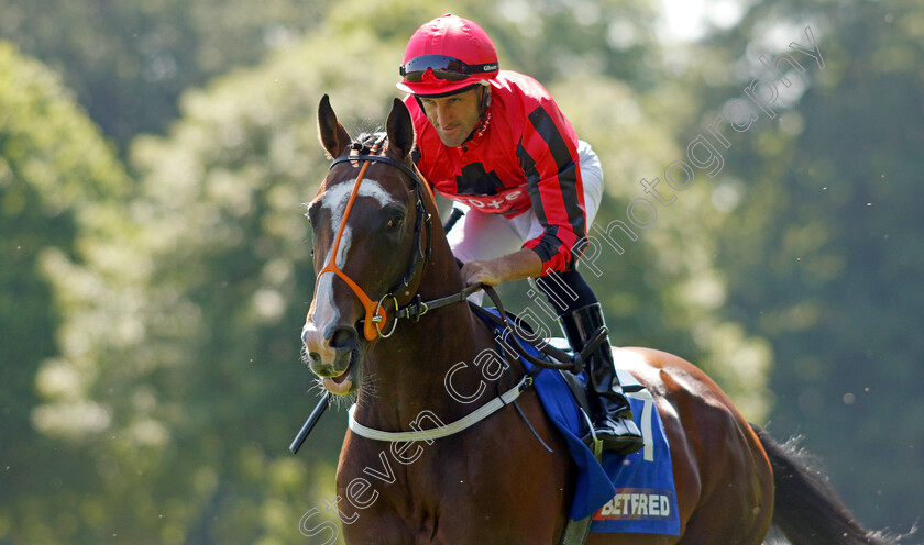 The-Ridler-0001 
 THE RIDLER (Neil Callan)
Haydock 27 May 2023 - Pic Steven Cargill / Racingfotos.com