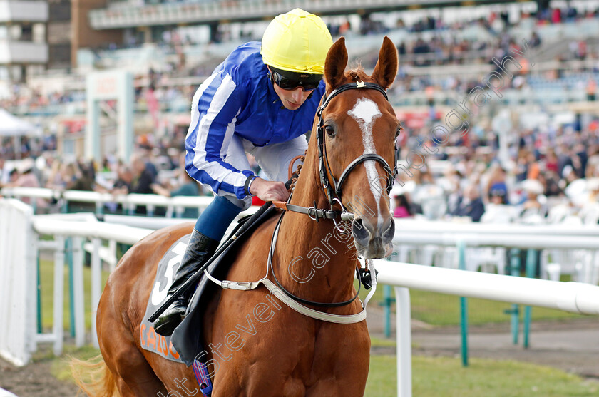 Dance-In-The-Grass-0001 
 DANCE IN THE GRASS (William Buick)
Doncaster 8 Sep 2022 - Pic Steven Cargill / Racingfotos.com