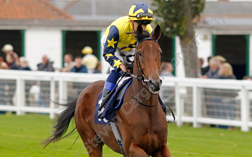 Urban-Love-0001 
 URBAN LOVE (Benoit de la Sayette)
Yarmouth 20 Sep 2023 - Pic Steven Cargill / Racingfotos.com