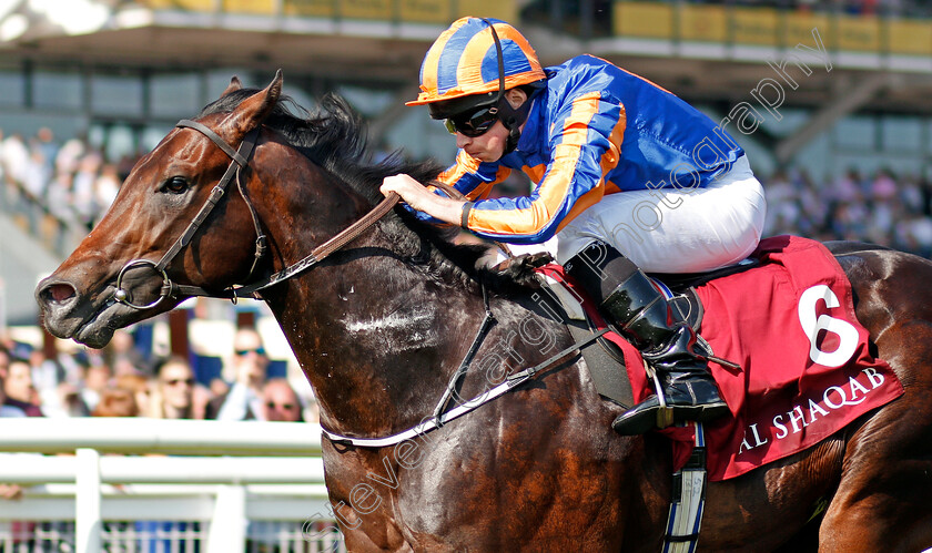 The-Irish-Rover-0005 
 THE IRISH ROVER (Ryan Moore) wins The Olympic Glory Conditions Stakes Newbury 19 May 2018 - Pic Steven Cargill / Racingfotos.com