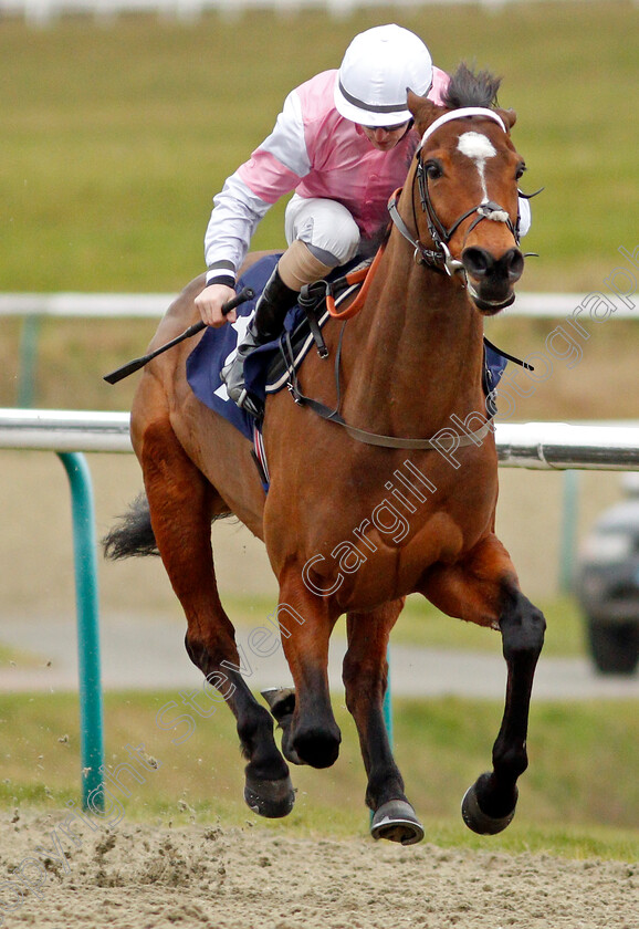 Attracted-0005 
 ATTRACTED (Richard Kingscote) wins The Bombardier Novice Stakes
Lingfield 19 Feb 2021 - Pic Steven Cargill / Racingfotos.com