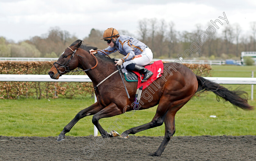 Action-Point-0002 
 ACTION POINT (Hollie Doyle) wins The Racing TV/EBF Restricted Novice Stakes
Kempton 10 Apr 2023 - Pic Steven Cargill / Racingfotos.com