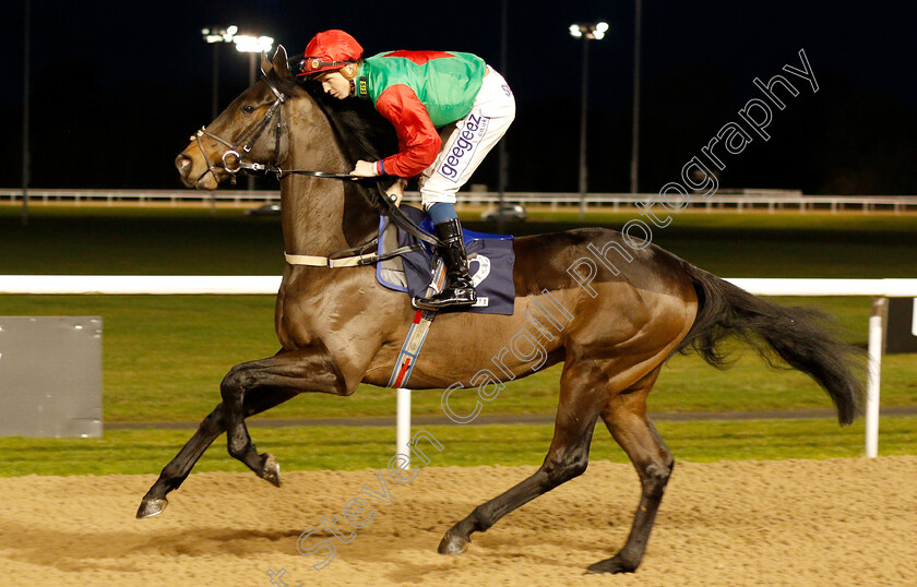 Blame-Culture-0001 
 BLAME CULTURE (David Probert) winner of The Sun Racing Top Tips & Previews Novice Stakes
Wolverhampton 7 Jan 2019 - Pic Steven Cargill / Racingfotos.com