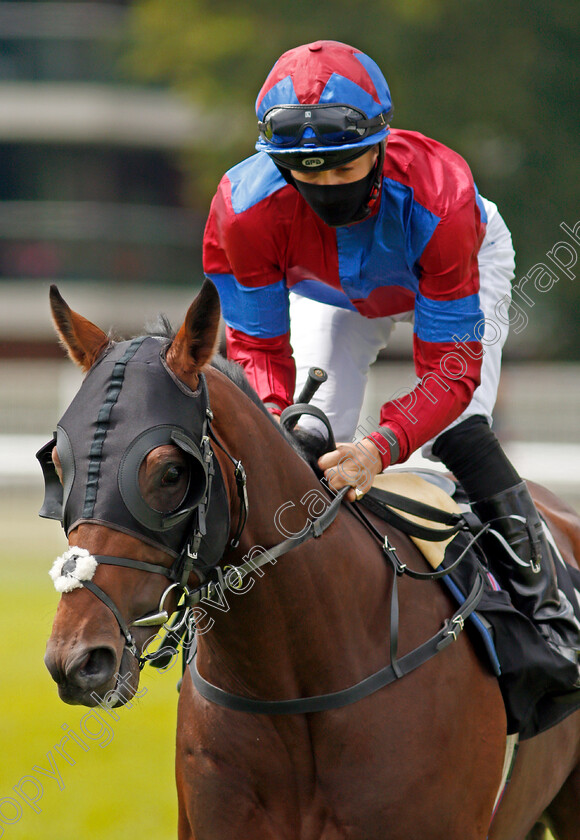 Surprise-Picture-0001 
 SURPRISE PICTURE (Harry Bentley)
Newbury 19 Jul 2020 - Pic Steven Cargill / Racingfotos.com