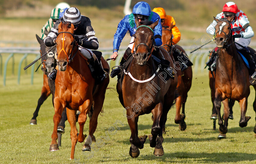 Kalma-0004 
 KALMA (centre, Tom Queally) beats CORBULO (left) in The Follow @racingtv On Twitter Handicap
Nottingham 17 Apr 2021 - Pic Steven Cargill / Racingfotos.com