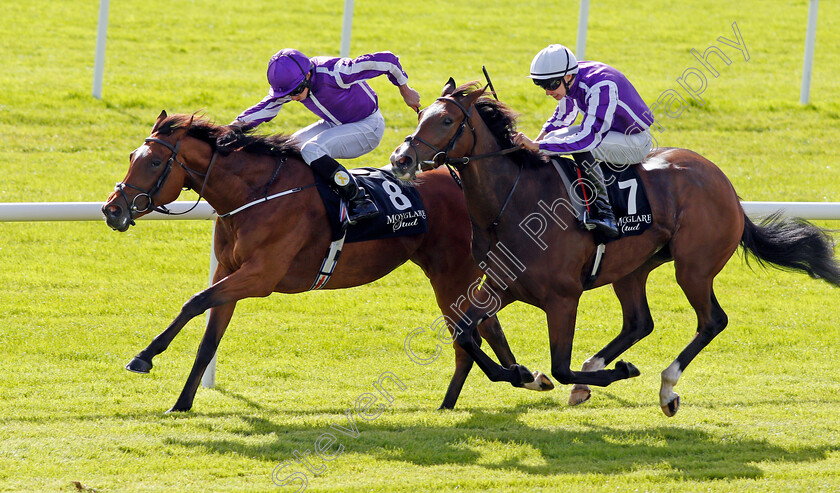 Happily-0003 
 HAPPILY (right, Donnacha O'Brien) beats MAGICAL (farside) in The Moyglare Stud Stakes Curragh 10 Sep 2017 - Pic Steven Cargill / Racingfotos.com