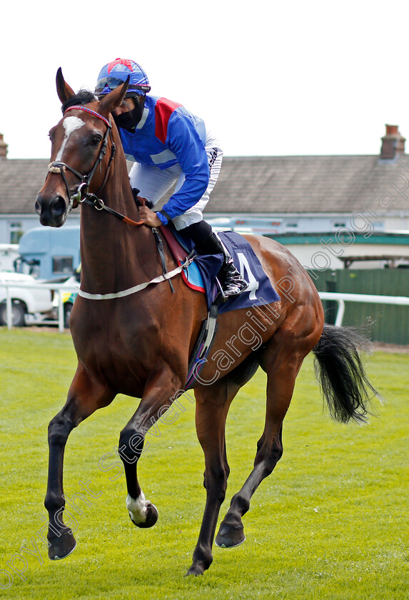 Walk-It-Talk-It-0001 
 WALK IT TALK IT (Josephine Gordon)
Yarmouth 3 Aug 2020 - Pic Steven Cargill / Racingfotos.com