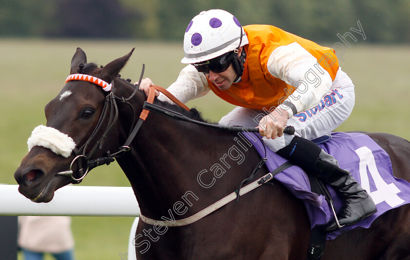 Kylie-Rules-0007 
 KYLIE RULES (Tom Eaves) wins The Dr Eddie Moll Handicap
Beverley 29 May 2019 - Pic Steven Cargill / Racingfotos.com