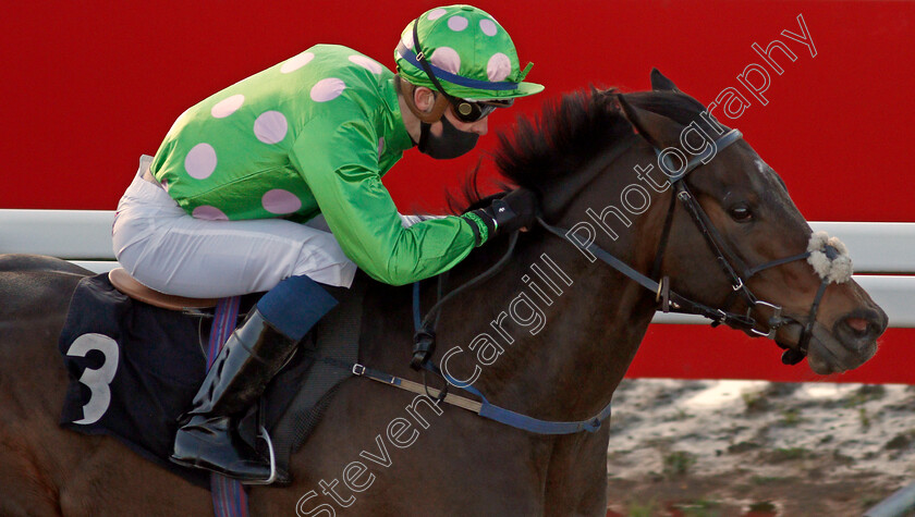 Passional-0009 
 PASSIONAL (Luke Catton) wins The tote Placepot Your First Bet Apprentice Handicap
Chelmsford 18 Feb 2021 - Pic Steven Cargill / Racingfotos.com