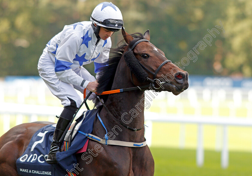 Make-A-Challenge-0002 
 MAKE A CHALLENGE (James J Doyle)
Ascot 19 Oct 2019 - Pic Steven Cargill / Racingfotos.com