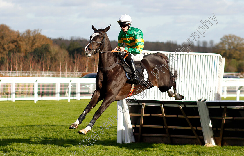 Milan-Tino-0002 
 MILAN TINO (M J M O'Sullivan)
Ascot 22 Nov 2024 - Pic Steven Cargill / Racingfotos.com