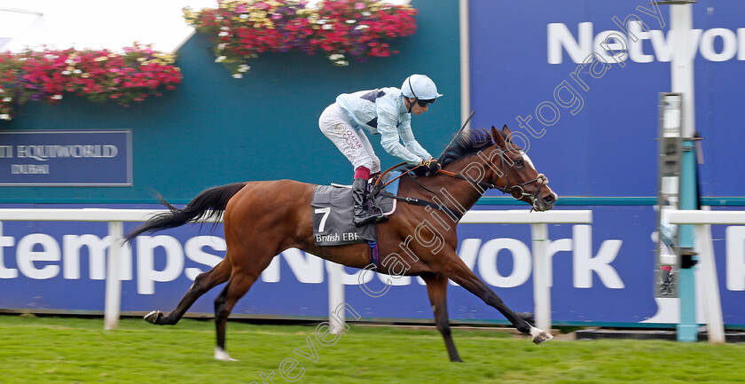 Scenic-0001 
 SCENIC (Oisin Murphy) wins The British EBF & Sir Henry Cecil Galtres Stakes
York 22 Aug 2024 - Pic Steven Cargill / Racingfotos.com