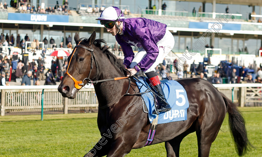 Luna-Girl-0001 
 LUNA GIRL (David Egan)
Newmarket 11 Oct 2024 - Pic Steven Cargill / Racingfotos.com