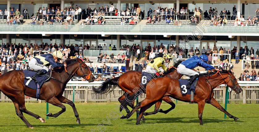 Rastrelli-0005 
 RASTRELLI (James Doyle) beats GLOBAL CONQUEROR (farside) and PAINT (left) in The newmarketracecourses.co.uk Nursery Newmarket 28 Sep 2017 - Pic Steven Cargill / Racingfotos.com