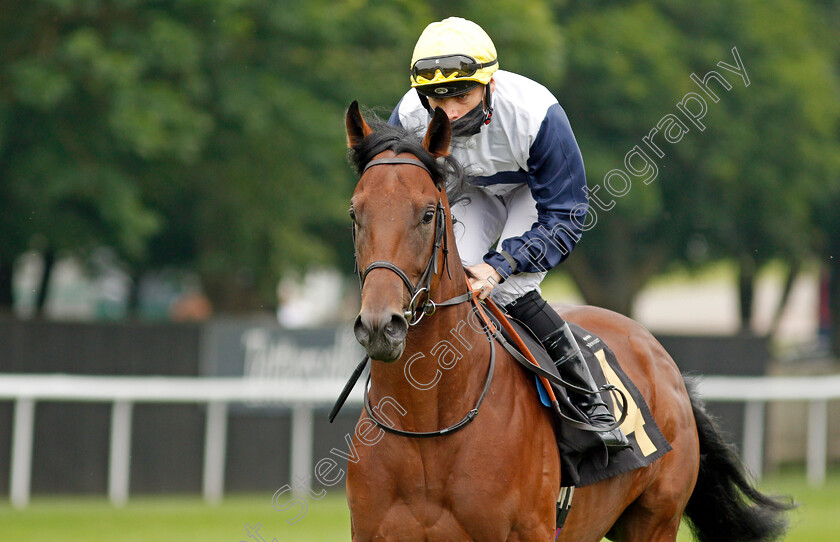 At-Liberty-0002 
 AT LIBERTY (Callum Shepherd)
Newmarket 9 Jul 2021 - Pic Steven Cargill / Racingfotos.com