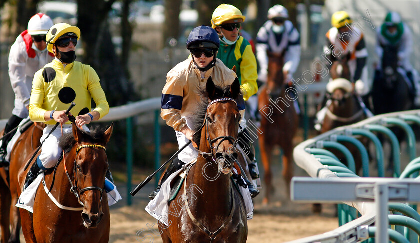 Maystar-0008 
 MAYSTAR (Hollie Doyle) after winning The Prix Moonlight Cloud
Deauville 9 Aug 2020 - Pic Steven Cargill / Racingfotos.com