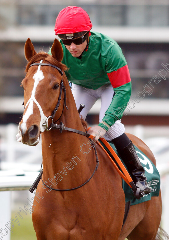 Taylormade-0001 
 TAYLORMADE (Stevie Donohoe)
Newbury 13 Apr 2019 - Pic Steven Cargill / Racingfotos.com