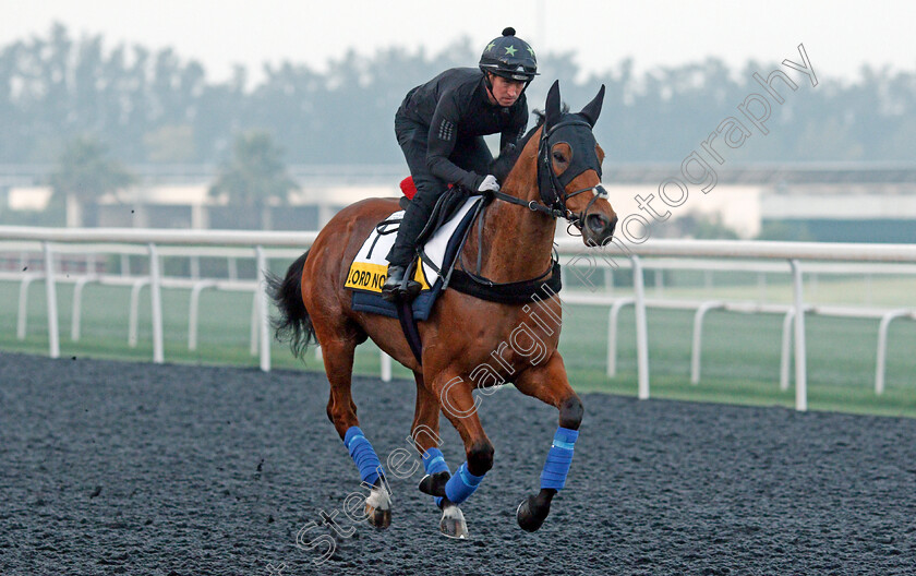 Lord-North-0002 
 LORD NORTH training for the Dubai Turf
Meydan, Dubai, 22 Mar 2022 - Pic Steven Cargill / Racingfotos.com