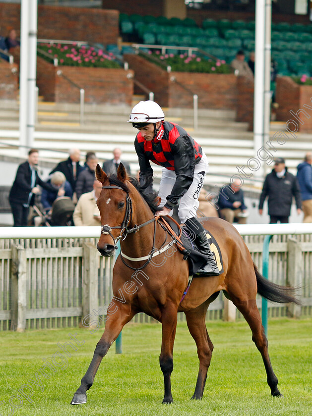 Sayalittleprayer-0001 
 SAYALITTLEPRAYER (Daniel Tudhope)
Newmarket 25 Oct 2023 - Pic Steven Cargill / Racingfotos.com