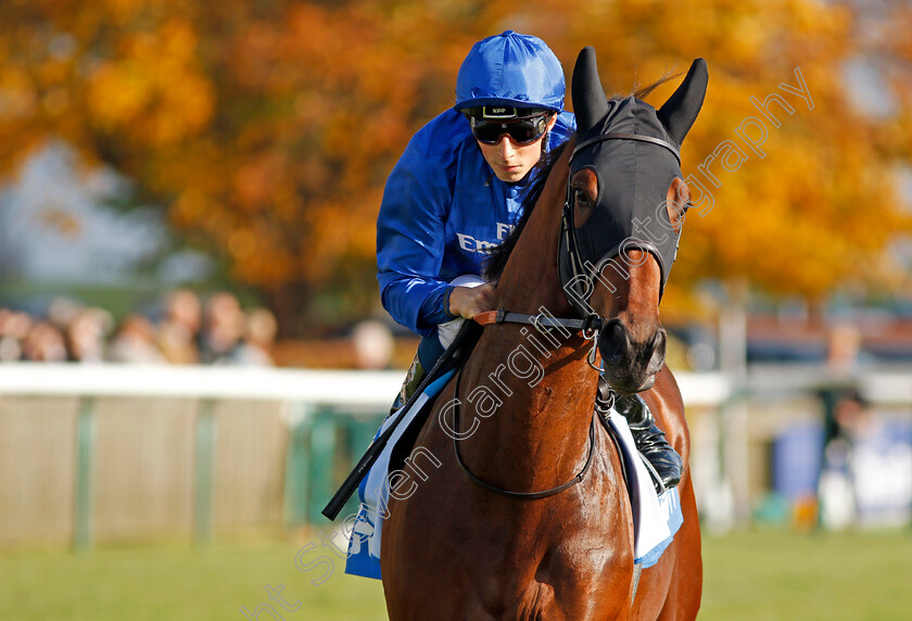 Ghaiyyath-0001 
 GHAIYYATH (William Buick) winner of The Masar Godolphin Autumn Stakes Newmarket 14 Oct 2017 - Pic Steven Cargill / Racingfotos.com