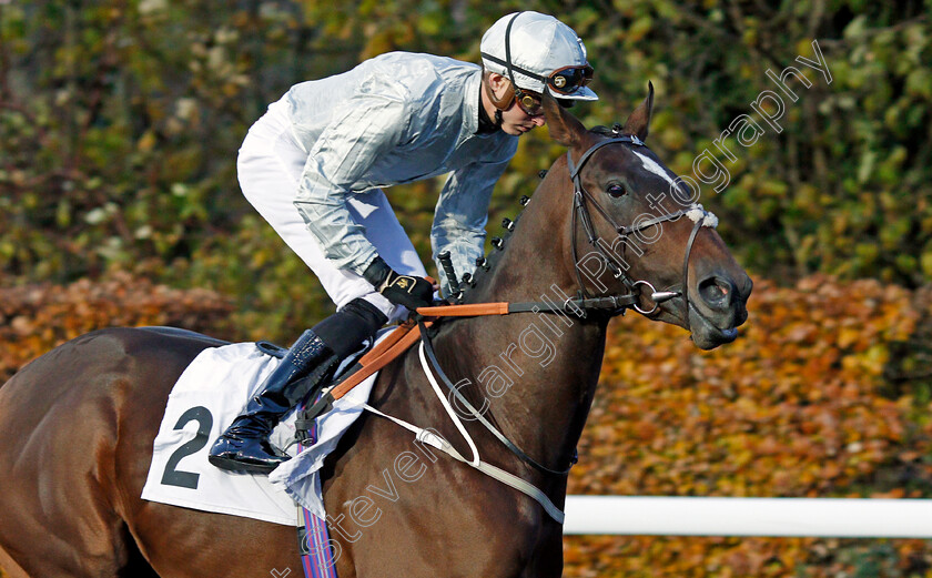 Rulers-Kingdom-0001 
 RULERS KINGDOM (James Doyle)
Kempton 20 Nov 2019 - Pic Steven Cargill / Racingfotos.com