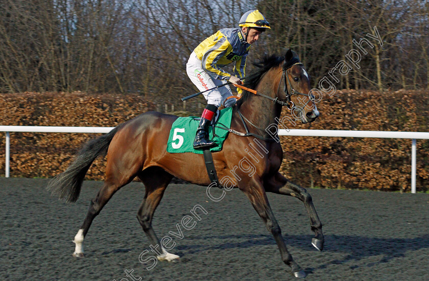 Dark-Crocodile-0001 
 DARK CROCODILE (Shane Kelly) Kempton 21 Mar 2018 - Pic Steven Cargill / Racingfotos.com