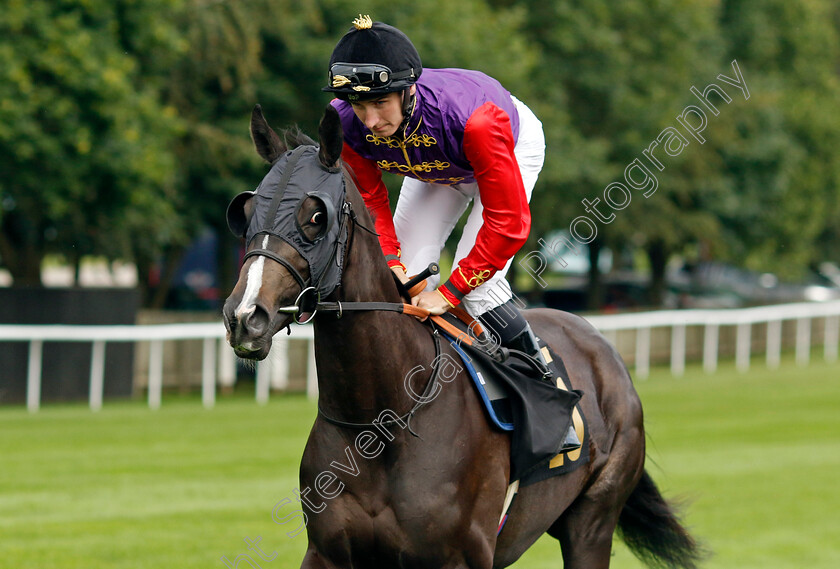 Welsh-Harbour-0001 
 WELSH HARBOUR (Hector Crouch)
Newmarket 28 Jul 2023 - Pic Steven Cargill / Racingfotos.com