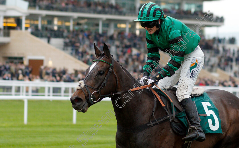 Kalabaloo-0007 
 KALABALOO (Gina Andrews) wins The GX Landrovers Mares Open Hunters Chase
Cheltenham 3 May 2019 - Pic Steven Cargill / Racingfotos.com