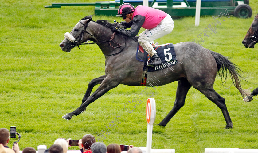 Big-Gossey-0001 
 BIG GOSSEY (Robert Whearty) wins The Irish Stallion Farms EBF Bold Lad Sprint Handicap
The Curragh 10 Sep 2023 - Pic Steven Cargill / Racingfotos.com