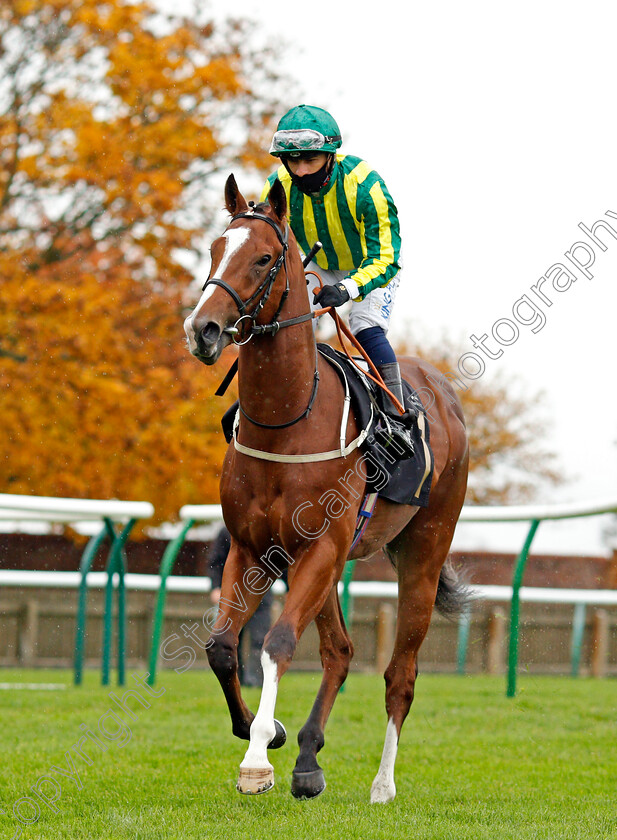 Thunder-Of-Niagara-0001 
 THUNDER OF NIAGARA (Silvestre De Sousa)
Newmarket 21 Oct 2020 - Pic Steven Cargill / Racingfotos.com