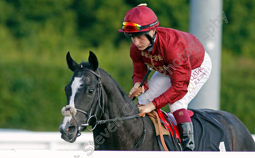 Thunder-Cat 
 THUNDER CAT (Cieren Fallon)
Chelmsford 7 Jun 2022 - Pic Steven Cargill / Racingfotos.com