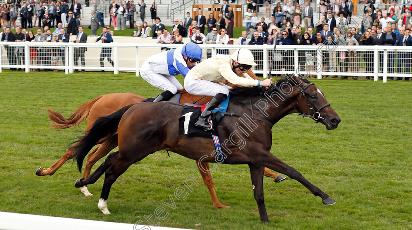 Shambolic-0006 
 SHAMBOLIC (Robert Havlin) wins The Royal Foresters British EBF Fillies Novice Stakes
Ascot 8 Sep 2018 - Pic Steven Cargill / Racingfotos.com