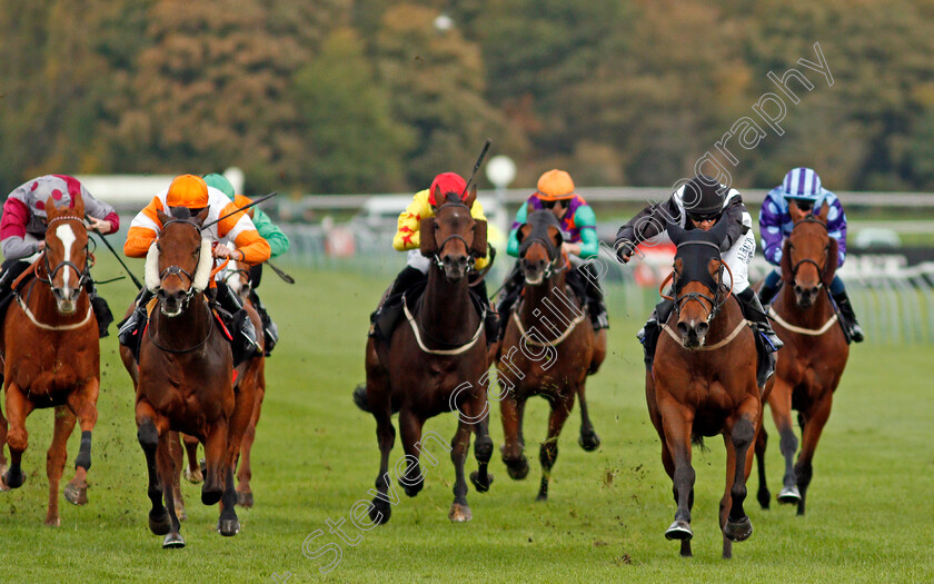 Saras-Hope-0001 
 SARAS HOPE (right, Ben Curtis) beats RASHEEQ (2nd left) in The Bet 10 Get 20 With Mansionbet Handicap
Nottingham 28 Oct 2020 - Pic Steven Cargill / Racingfotos.com