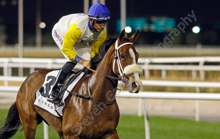 Awesome-Spirit-Gal-0002 
 AWESOME SPIRIT GAL (Pat Dobbs)
Meydan 2 Feb 2024 - Pic Steven Cargill / Racingfotos.com