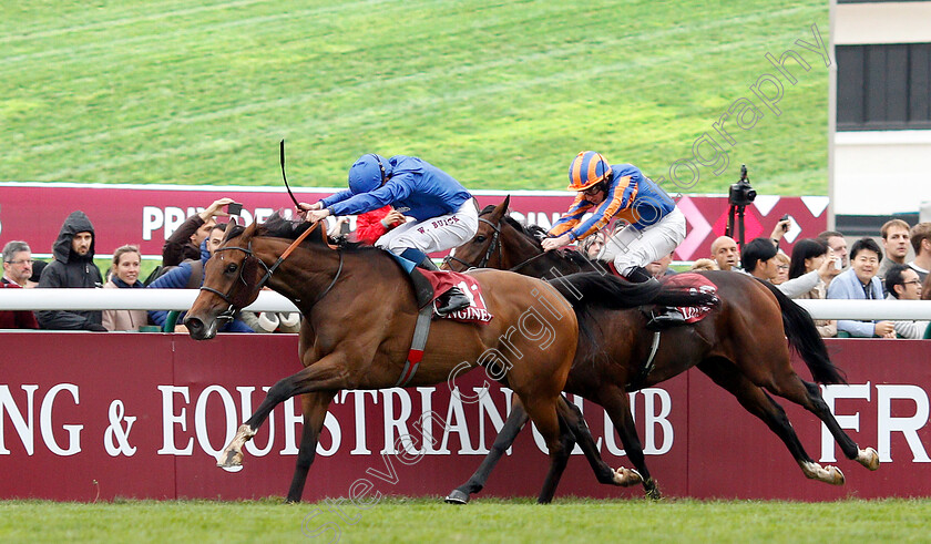 Wild-Illusion-0001 
 WILD ILLUSION (William Buick) wins The Prix De L'Opera
Longchamp 7 Oct 2018 - Pic Steven Cargill / Racingfotos.com